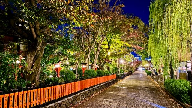 ナイトツアー